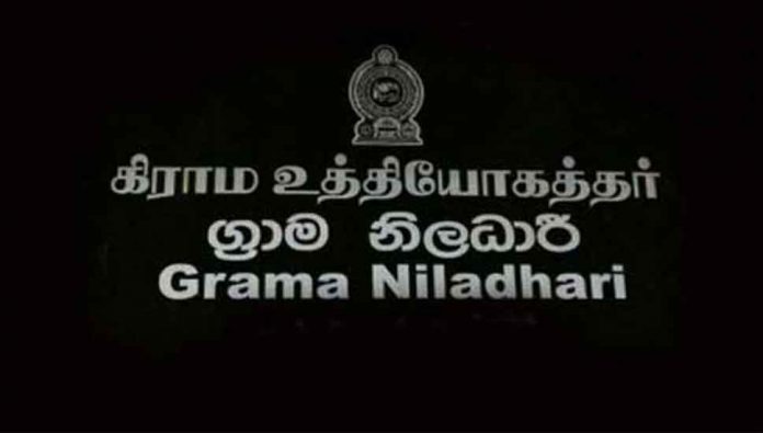 NLW342RL9BVs14A7QLJiHT1ZUsnXU5hv