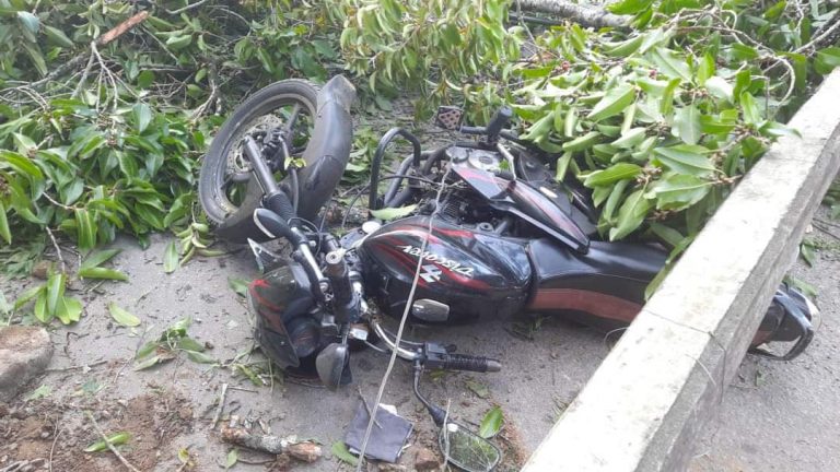 இளம் ஆசிரியரின் உயிரை பறித்த மரம்! மக்கள் சோகத்தில்