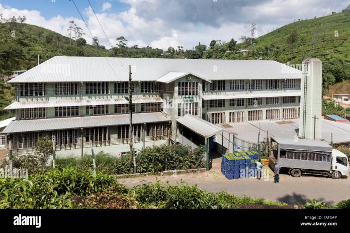 tea-factory-at-dickoya-sri-lanka-with-truck-delivering-raw-tea-typical-FAFG4P