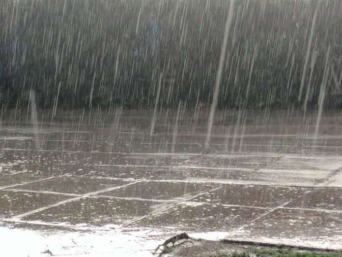 FB_IMG_1649413656096