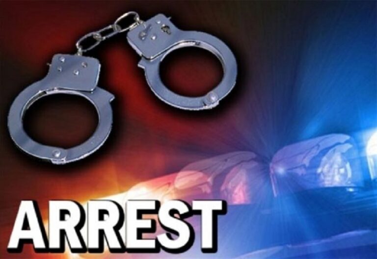 இந்தியாவிற்கு தப்பிச் செல்ல முயன்ற 600 பேர் கைது