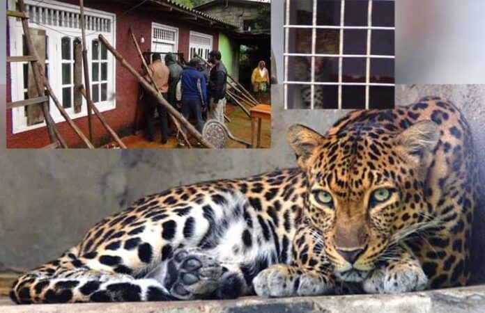 FB_IMG_1659704970007