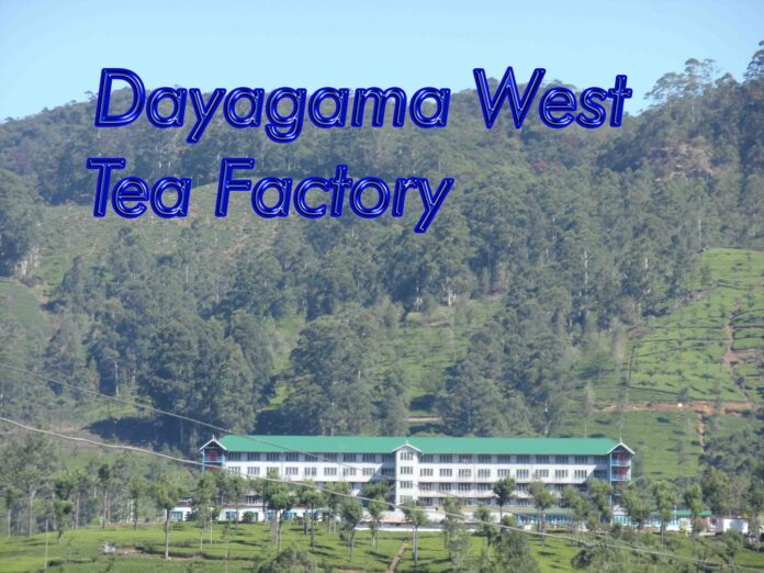 12768143_177411949305294_8472963860858910804_o