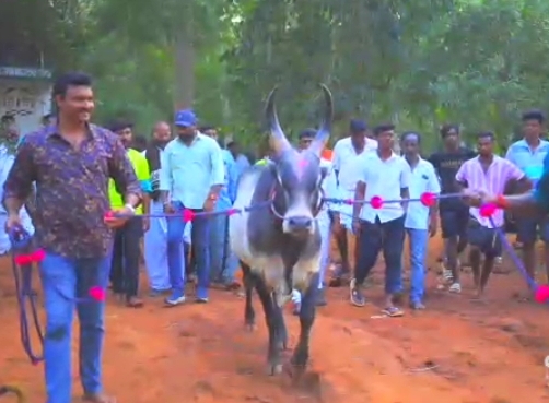 தமிழ் சினிமா ஹீரோ பாணியில் பொங்கல் வாழ்த்து கூறும் செந்தில் தொண்டமான் – வீடியோ