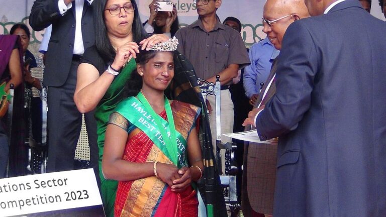 சிறந்த கொழுந்து பறிப்பாளராக தெரிவான சீதையம்மாவுக்கு ரூ.3 லட்சம் பரிசு!