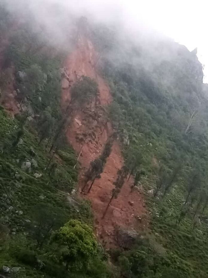 336803521_2488790434595377_5839564617408789133_n