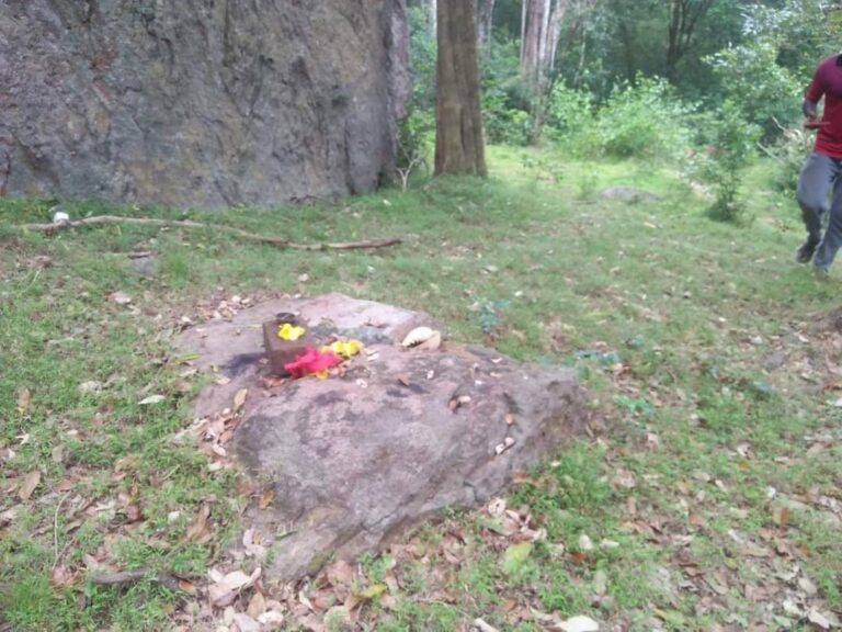 வெடுக்குநாறி மலை ஆலயம் இடிப்பு : விசாரணைக்கு ஜனாதிபதி பணிப்பு!