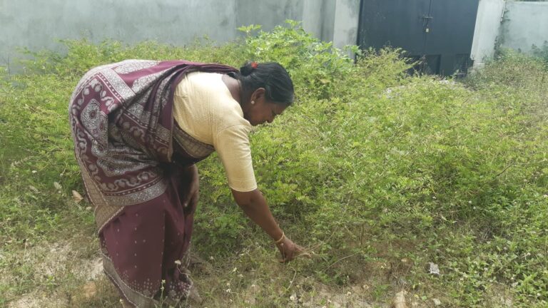 பொருளாதார நெருக்கடியை சமாளிக்கத் திணறும் பெண் தலைமைத்துவக் குடும்பங்கள்