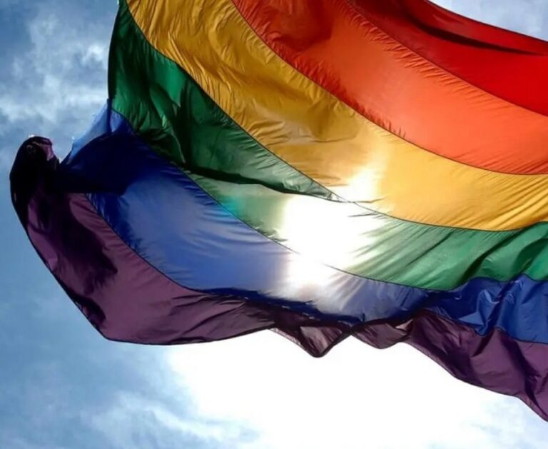 ஓரினச்சேர்க்கை உறவு குறித்து சபாநாயகர் விடுத்த அறிவிப்பு