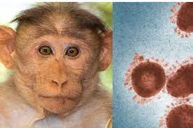 இலங்கையில் புதிதாக இரண்டு குரங்கு அம்மை நோயாளர்கள் பதிவு!