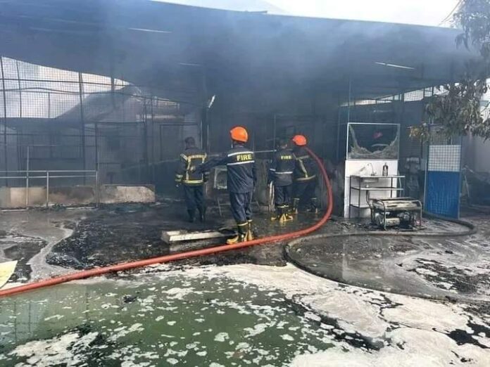 FB_IMG_1691470690734