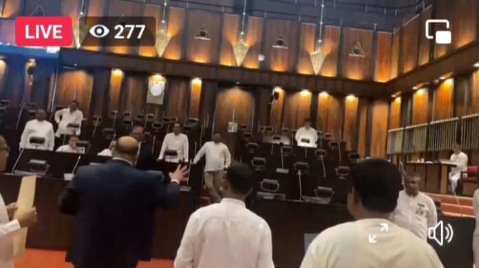 386405050_7333625463332017_6558050942090776211_n