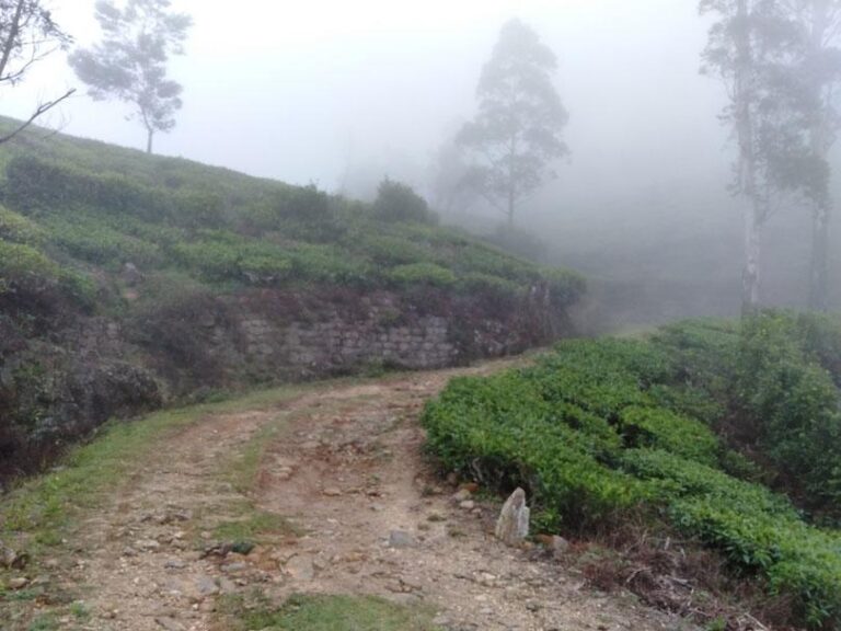 உலக முடிவை காண டயகாமம் வழியே புதிய பாதை திறப்பு
