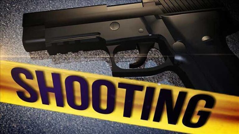 கொழும்பில் பட்டப்பகலில் துப்பாக்கிச் சூடு நடத்தி இருவர் கடத்தல்