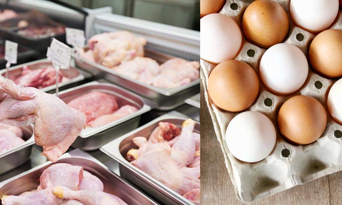 முட்டை – கோழி விலை குறையவில்லை என்றால் அரசு நடவடிக்கை எடுக்கும்; மஹிந்த அமரவீர