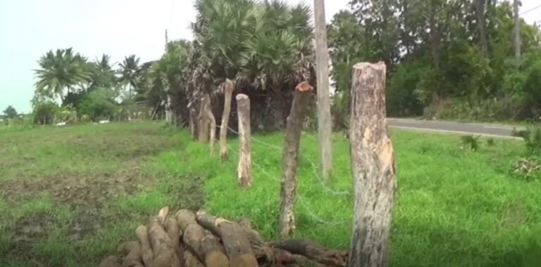 வடக்கில் புலம்பெயர் மக்களின் காணிகள் அபகரிப்பு