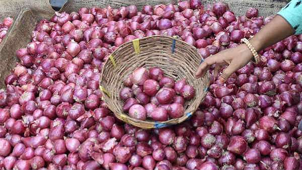 பெரிய வெங்காயத்தின் விலை உயர்வு!
