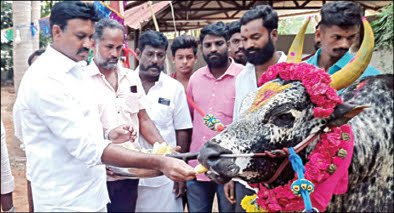 சர்வதேச கவனத்தை ஈர்த்து வரும் ஜல்லிக்கட்டு – செந்தில் தொண்டமான் பெருமிதம்