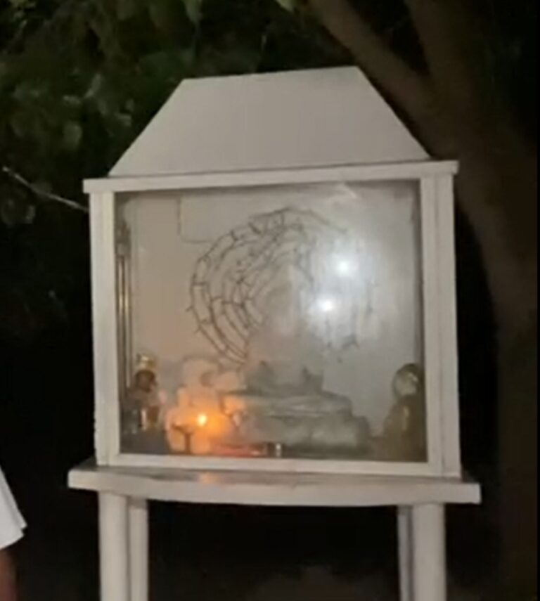 திடீரென முளைத்த புத்தர் சிலை மர்மமான முறையில் மாயம்