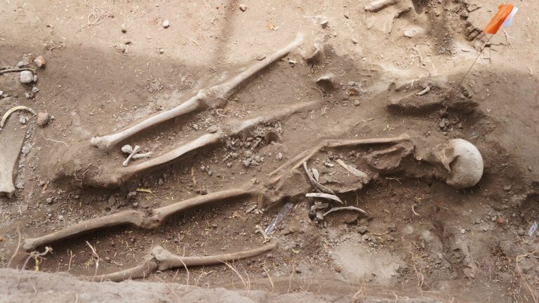 திருக்கேதீஸ்வரம் புதைகுழி: காபன் பரிசோதனை தாமதமாகும்?