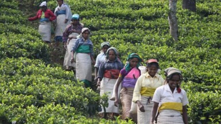 1,700 ரூபாய் சம்பள அதிகரிப்பு வர்த்தமானி ரத்து!