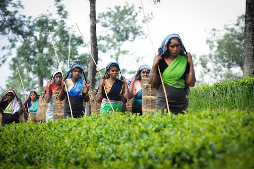 சம்பள உயர்வு வர்த்தமானிக்கு இடைக்கால உத்தரவு