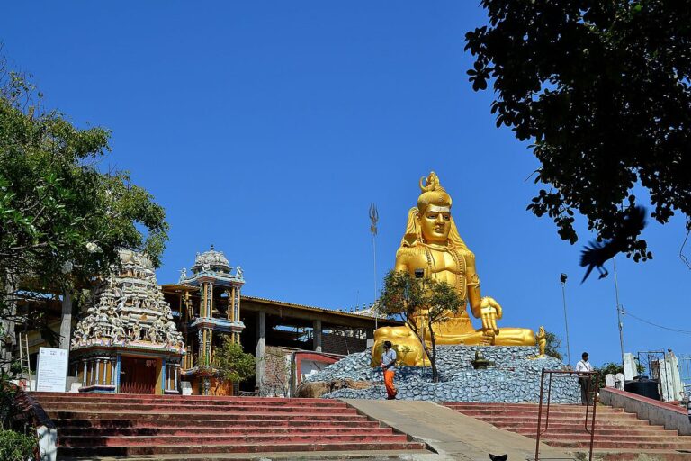 திருகோணேஸ்வர ஆலயத்தின் பல நூறு கோடி மதிப்புள்ள தாலி பட்ட பகலில் திருட்டு!