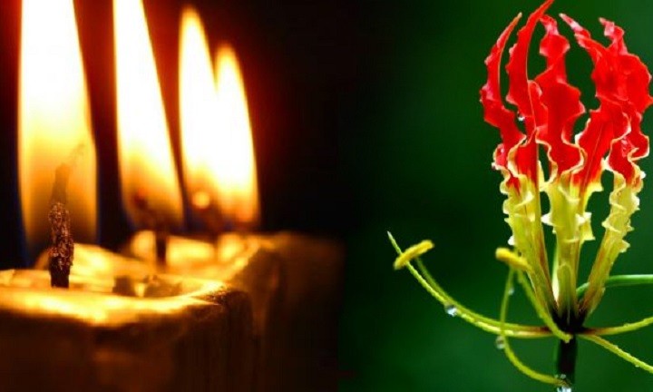 மாவீரர் வாரம் இன்று ஆரம்பம் – தமிழர் தேசமெங்கும் உணர்வெழுச்சி நிகழ்வுகள்