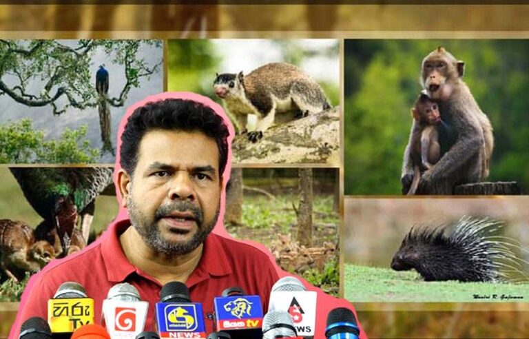 பயிர்களை சேதப்படுத்தும் வன விலங்குகளின் பிரச்சினைக்கு நீண்டகால தீர்வு