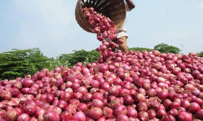 வெங்காய இறக்குமதிக்கு தீர்மானம்
