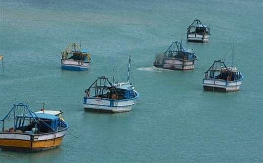 தமிழக மீனவர்கள் 14 பேர் கைது