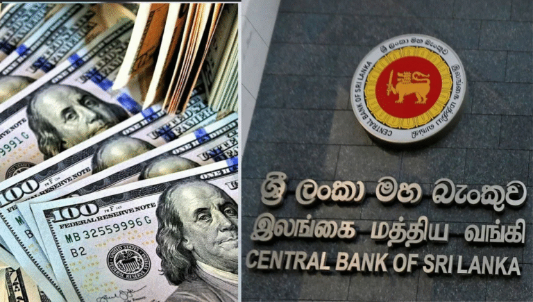 இலங்கையின் டொலர் இருப்பு வீழ்ச்சி