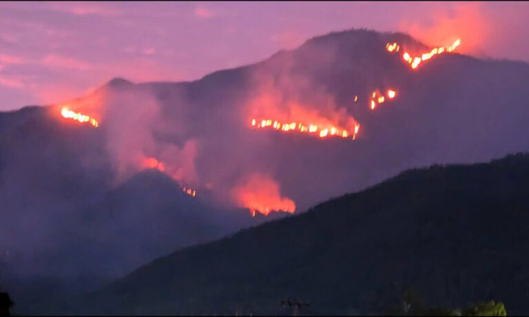 பலாங்கொடையில் காட்டுத் தீ