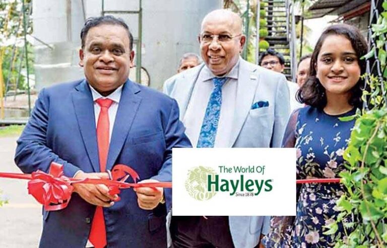 ஹேலிஸ் தொடங்கும் பெரிய அளவிலான பல்பொருள் அங்காடி