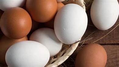 முட்டை விலை 70 வரை உயரும்