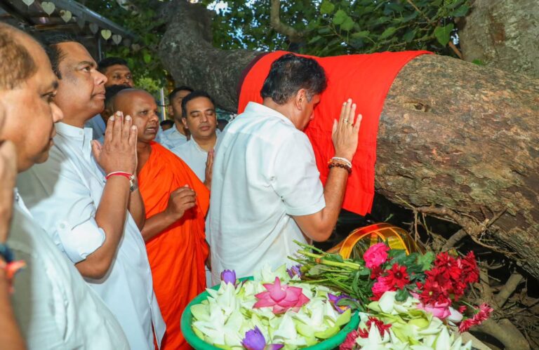 ஐக்கிய மக்கள் சக்திக்கு 06 வயது