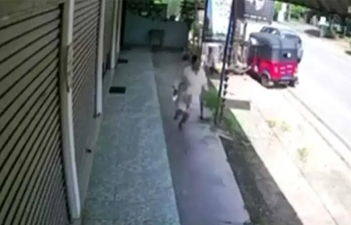 IMG_4161